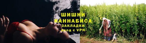 тгк Новозыбков