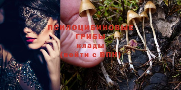 индика Алексеевка